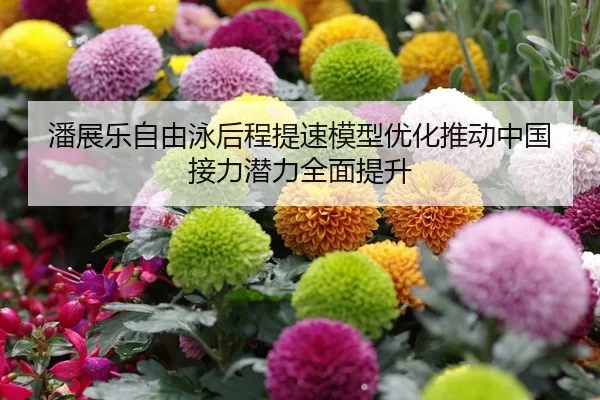潘展乐自由泳后程提速模型优化推动中国接力潜力全面提升