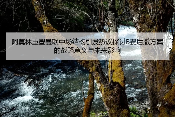 阿莫林重塑曼联中场结构引发热议探讨B费后撤方案的战略意义与未来影响