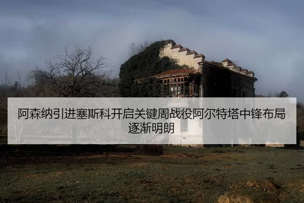 阿森纳引进塞斯科开启关键周战役阿尔特塔中锋布局逐渐明朗