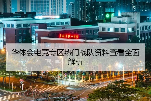 华体会电竞专区热门战队资料查看全面解析