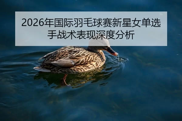 2026年国际羽毛球赛新星女单选手战术表现深度分析