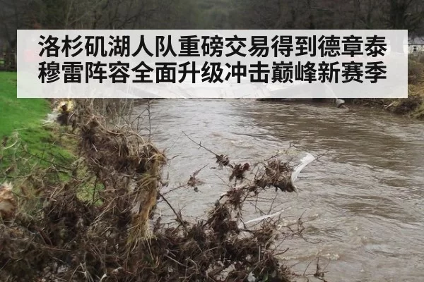 洛杉矶湖人队重磅交易得到德章泰穆雷阵容全面升级冲击巅峰新赛季